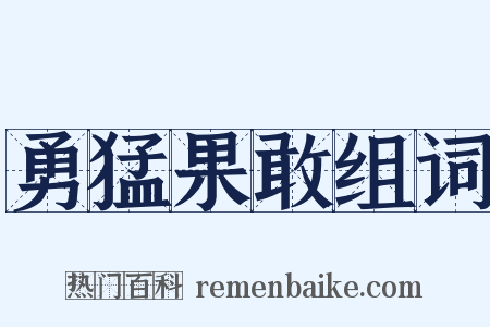 勇猛果敢组词是什么意思的图片